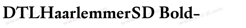 DTLHaarlemmerSD Bold字体转换